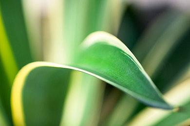 《无敌号》IGN 5分：改编效果适得其反